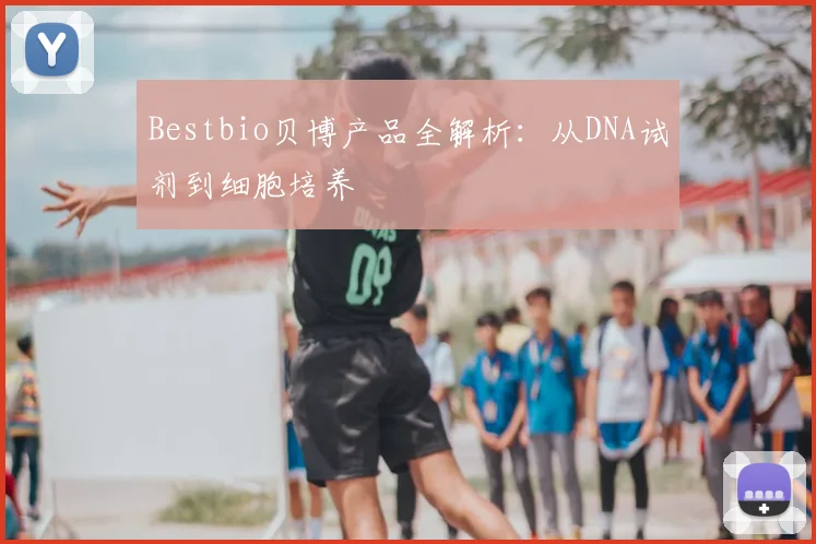Bestbio贝博产品全解析：从DNA试剂到细胞培养