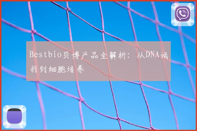 Bestbio贝博产品全解析：从DNA试剂到细胞培养